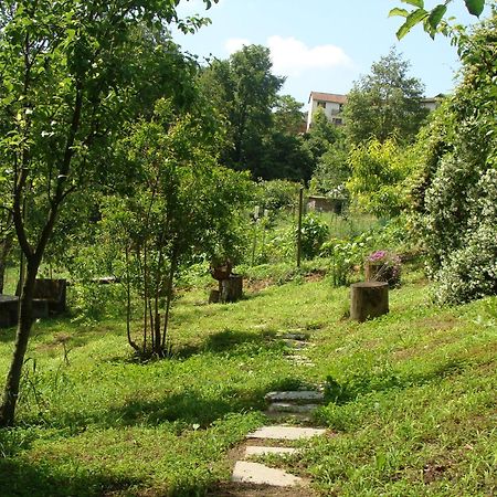 Appartamento In Monferrato Di Dominga Portacomaro Extérieur photo