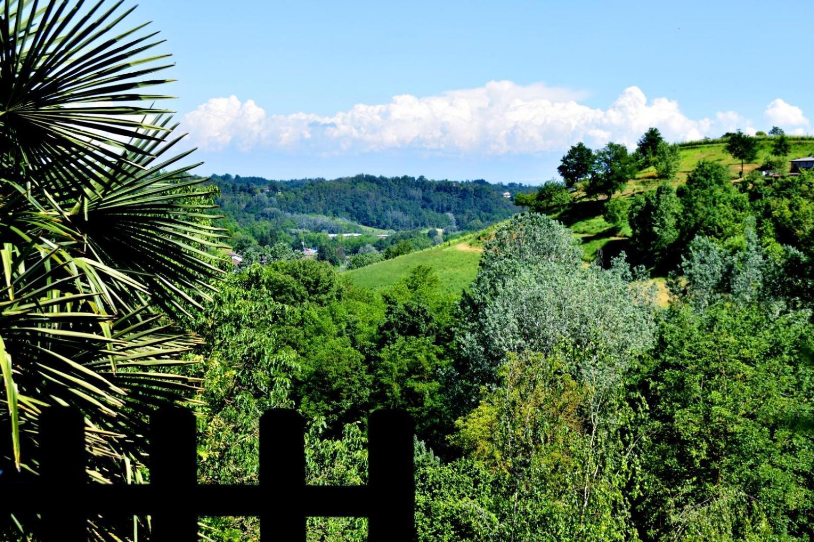 Appartamento In Monferrato Di Dominga Portacomaro Extérieur photo