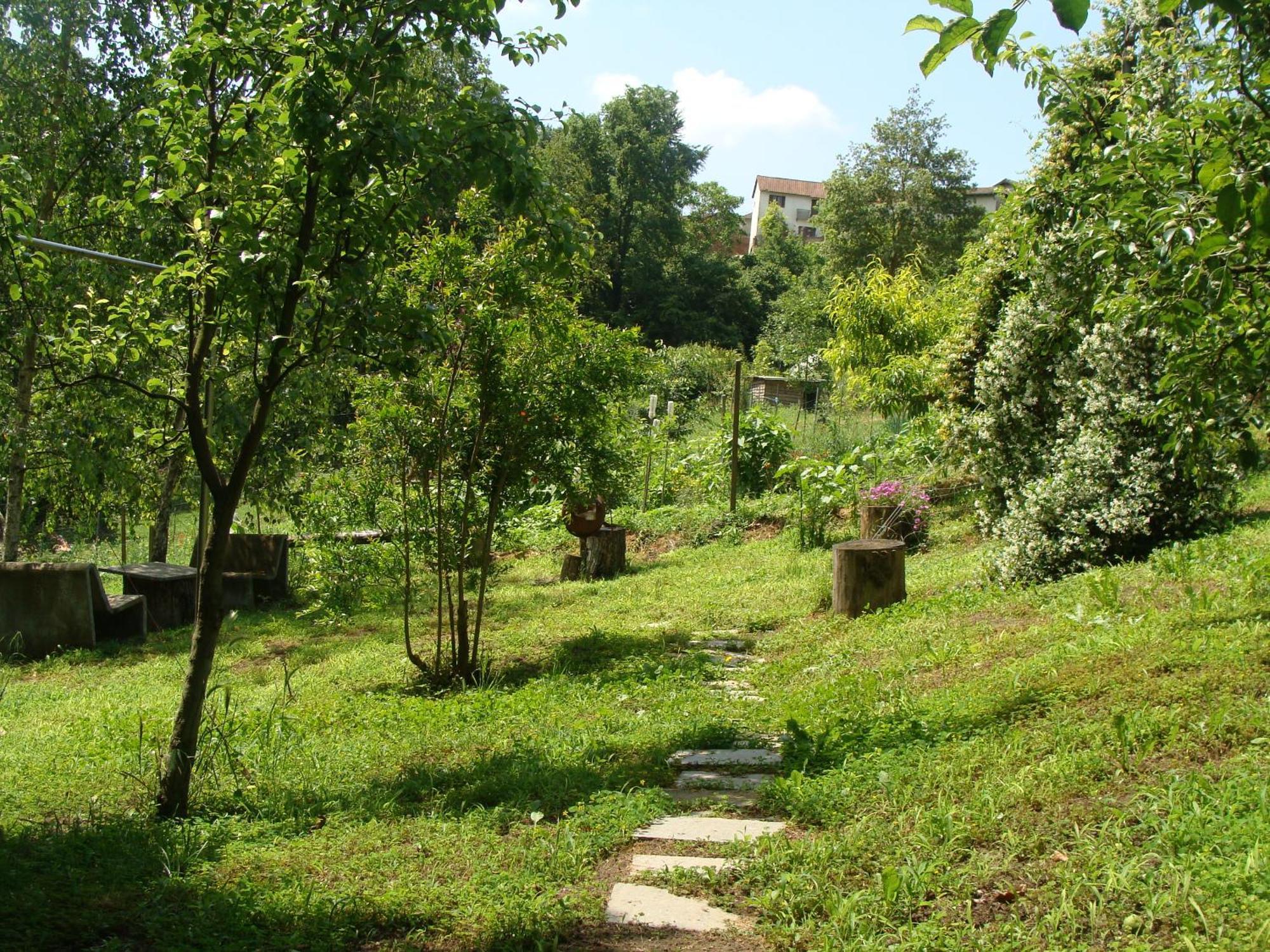 Appartamento In Monferrato Di Dominga Portacomaro Extérieur photo