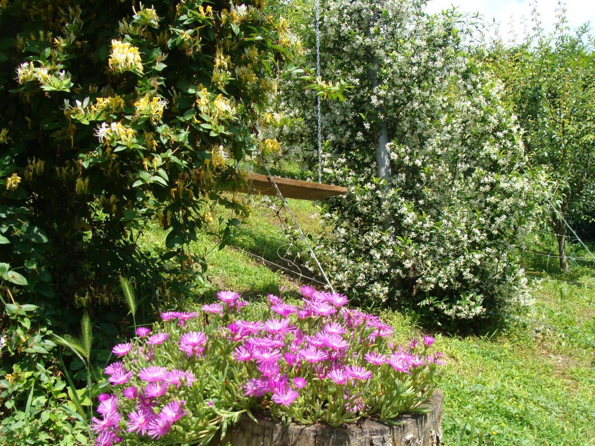 Appartamento In Monferrato Di Dominga Portacomaro Extérieur photo