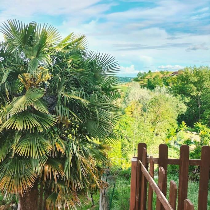 Appartamento In Monferrato Di Dominga Portacomaro Extérieur photo